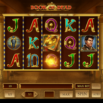 GoldenTiger - Book of Dead Slot Game